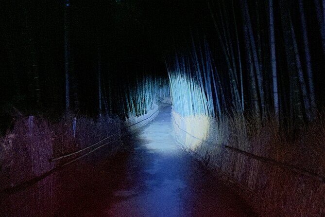 Kyoto Ghost Tour: Dark Tales, Urban Legends, Bamboo Forest Night - Kyoto Ghost Tour: Dark Tales, Urban Legends, Bamboo Forest Night – A Haunted Adventure
