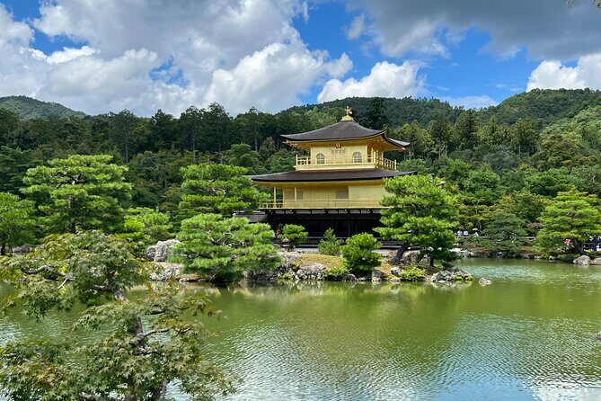 Kyoto: Golden Pavilion, Nijo Castle, Nishiki Market - Who Is This Tour Best Suited For?