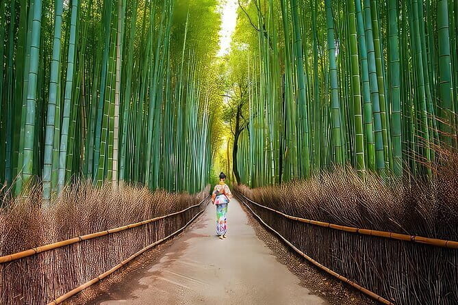 Kyoto Heritage Run - Venture through historical Kyoto landmarks - Final Thoughts: Is It Worth It?