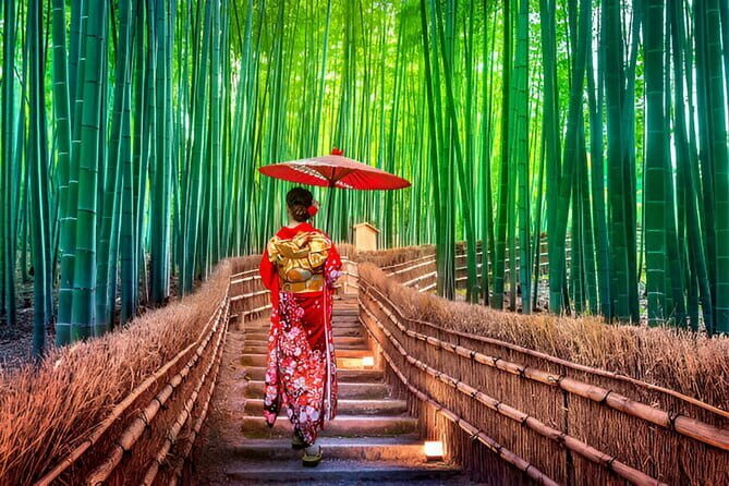 Kyoto Highlights Private Tour with Pick and Drop - Key Points
