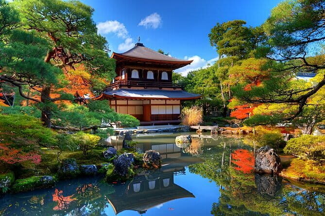 Kyoto Highlights Private Tour with Pick and Drop - A Deep Dive into the Kyoto Highlights Private Tour
