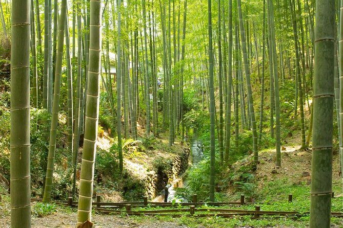 Kyoto : Immersive Arashiyama and Fushimi Inari by Private Vehicle - FAQ