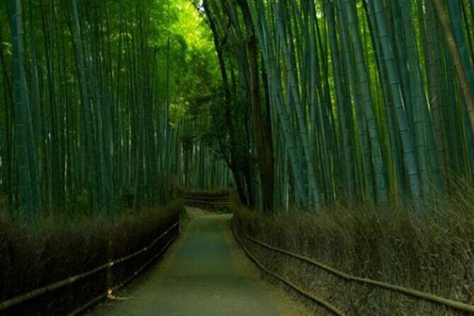 Kyoto ITALIAN GUIDE Golden Pagoda Bamboo Forest Dry Garden - A Closer Look at the Tour