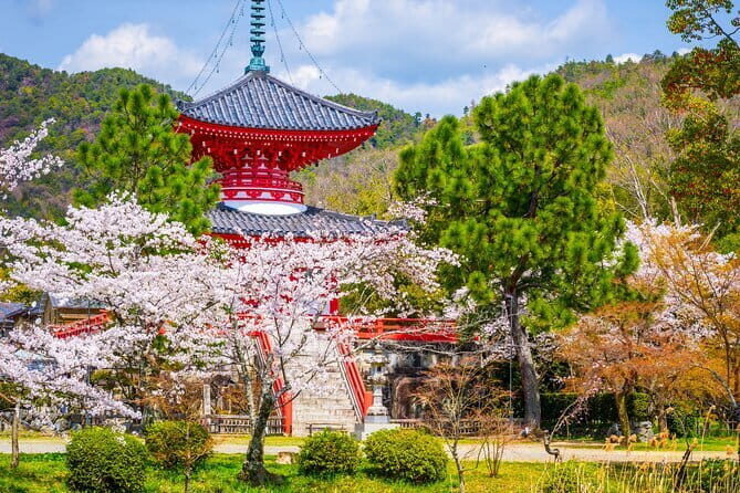 Kyoto Japan with Private Tour - Who Should Consider This Tour?
