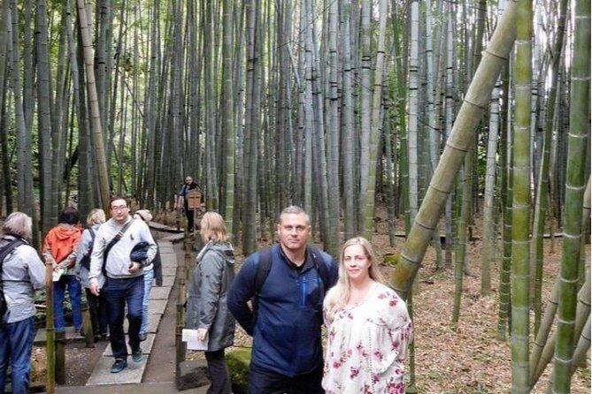 Kyoto Japanese Garden Lover's Private Tour with Government-Licensed Guide - A Step-by-Step Breakdown of the Itinerary