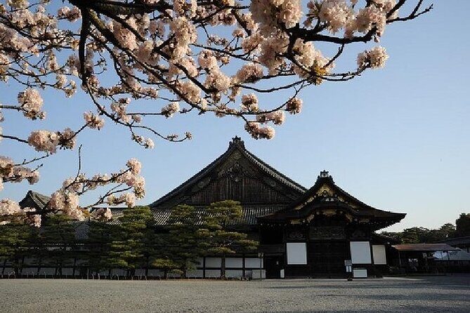 Kyoto & Nara Day Trip - Golden Pavilion & Todaiji from Kyoto - Who Should Book This Tour?