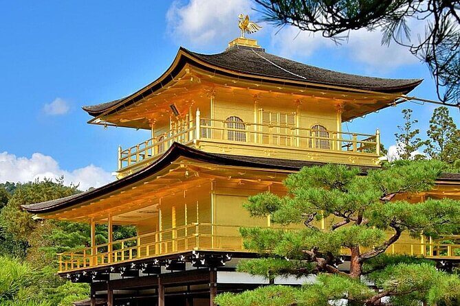 Kyoto, Osaka, Nara Private Tour by Car English Driver Guide - The Realities of the Tour: What You Need to Know