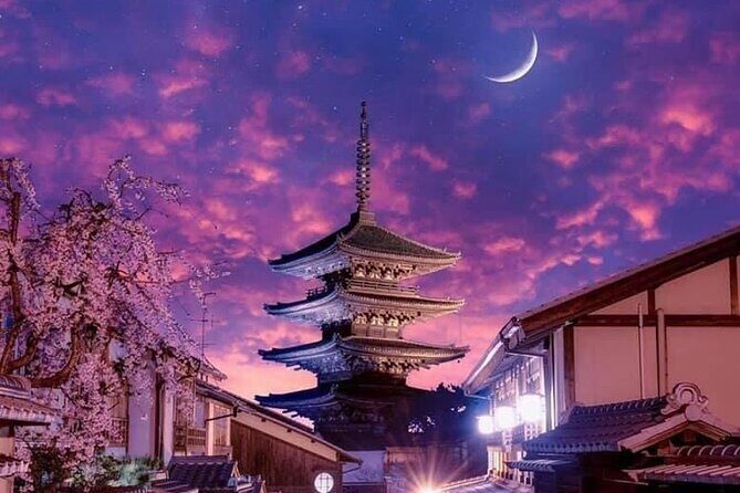 Kyoto, Osaka, Nara Private Tour by Car English Driver Guide - Who Should Consider This Tour?