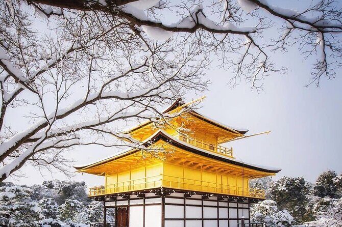 Kyoto, Osaka, Nara Private Tour by Car English Driver Guide - Final Thoughts