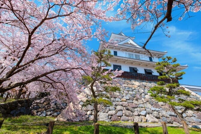 Kyoto Osaka to Lake Biwa Private Day Tour - Key Points