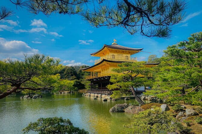 Kyoto Private Customizable Day Tour with Guide and Vehicle - Who Is This Tour Best For?