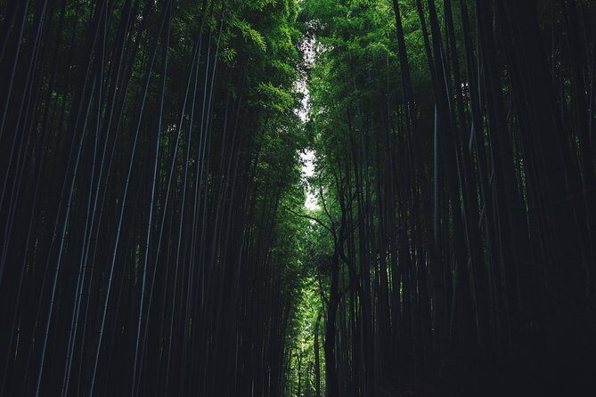 Kyoto Private Customizable Full Day Tour - Why Choose the Kyoto Private Customizable Full Day Tour?