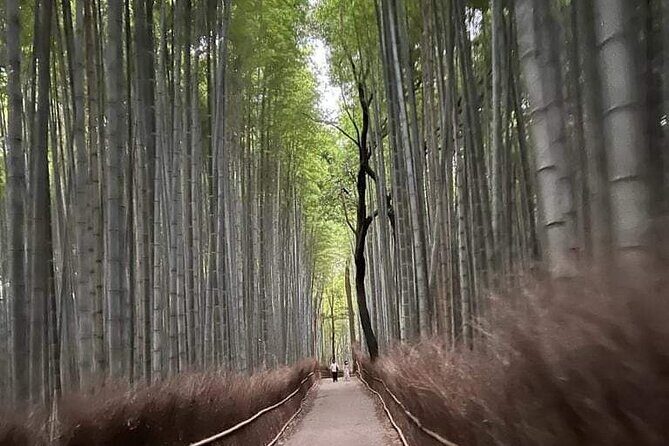 Kyoto Private Customizable Sightseeing Tour by Car-up to 9 people - Stops 3 & 4: Kinkakuji & Nijo Castle