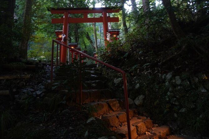 Kyoto Private Customizable Sightseeing Tour by Car-up to 9 people - Considerations and Potential Drawbacks