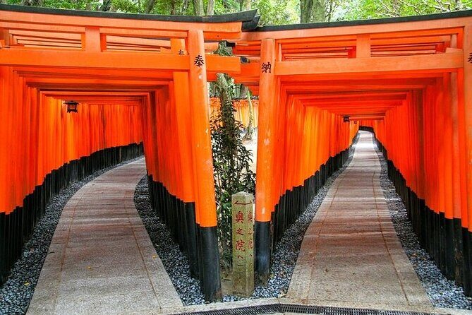 Kyoto Private Full-day Walking Tour from Kyoto Station - An In-Depth Look at the Tour Experience