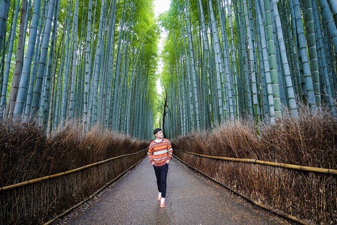 Kyoto Private Photo Shoot & Tour by SnapKyoto - An In-Depth Look at the Experience