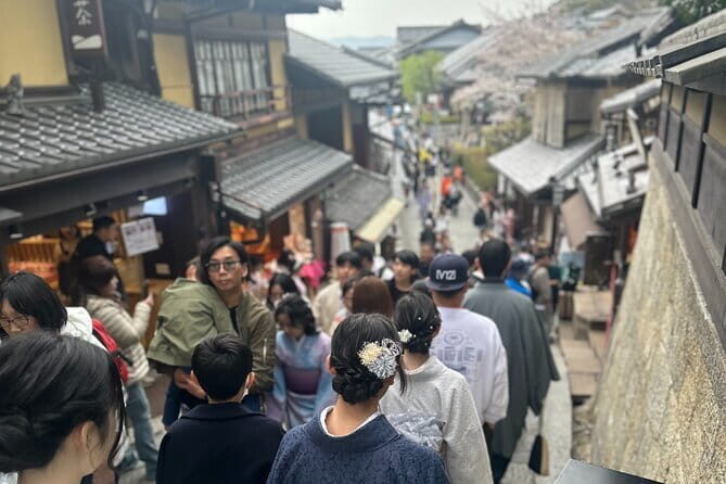 Kyoto private tour |english speaking driver only : No guide - An In-Depth Look at the Kyoto Private Tour