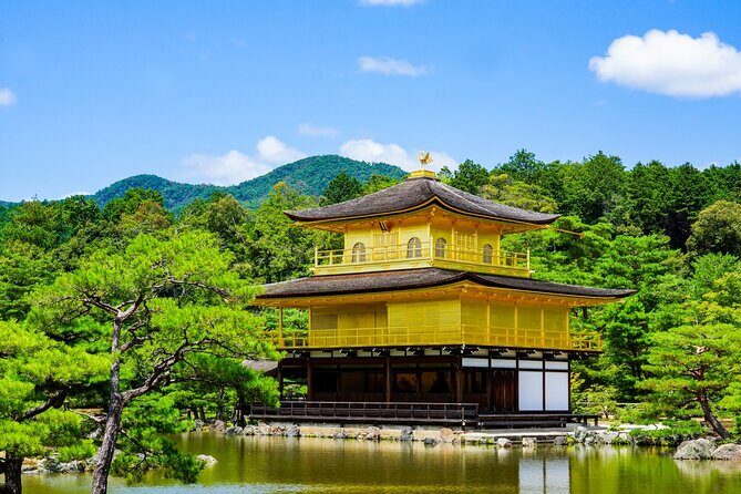 Kyoto Private Tour with National Licensed Guide from Osaka - Full Breakdown of the Kyoto Private Tour from Osaka