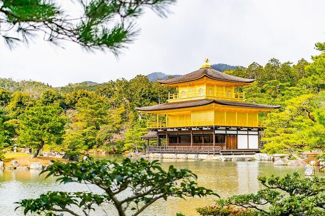 Kyoto Private Tour with National Licensed Guide from Osaka - Final Thoughts: Who Would Love This Tour?