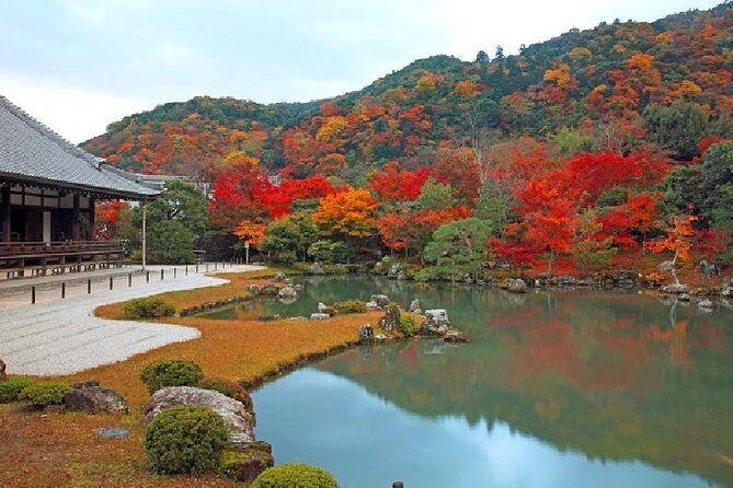 Kyoto Sagano Bamboo Grove & Arashiyama Walking Tour - A Deep Dive into the Tour Experience