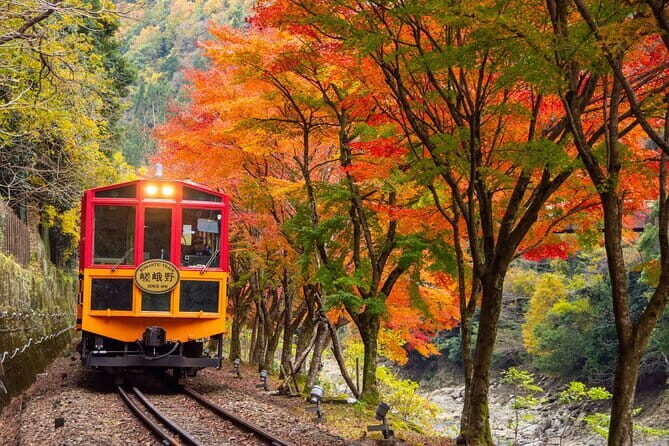 Kyoto Sagano Romantic Train in Arashiyama Bus Tour - A Deep Dive into the Kyoto Sagano Romantic Train in Arashiyama Bus Tour