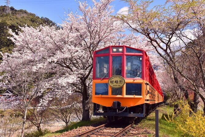 Kyoto Sansen-in Arashiyama Train 1 Day Tour from Osaka or Kyoto - Practical Considerations and Value