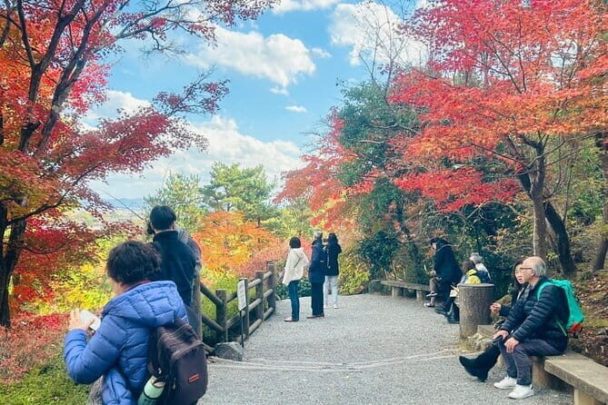 Kyoto Satoyama Cycling in Nantan with the Electric Assist Bike - Final Thoughts: Who Is This Tour Best For?