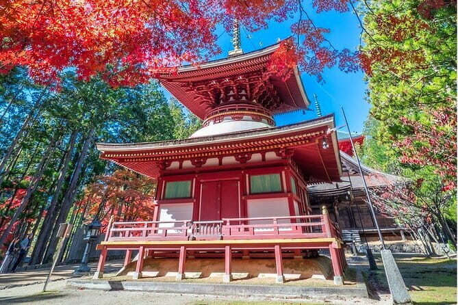 Kyoto to Mt. Koya One Day Walking Tour - What You Can Expect from the Tour