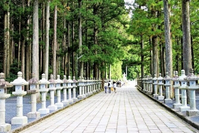 Kyoto to Mt. Koya One Day Walking Tour - The Experience of Walking Through Sacred Grounds