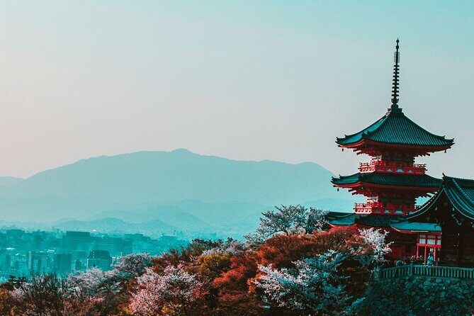 Kyoto : Treasures of Gion & historical Walking Tour With A Guide - Who Is This Tour Best For?