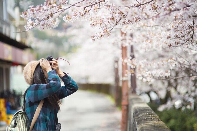 Kyoto Unveiled: A Tale of Heritage, Beauty & Spirituality - A Closer Look at the Itinerary