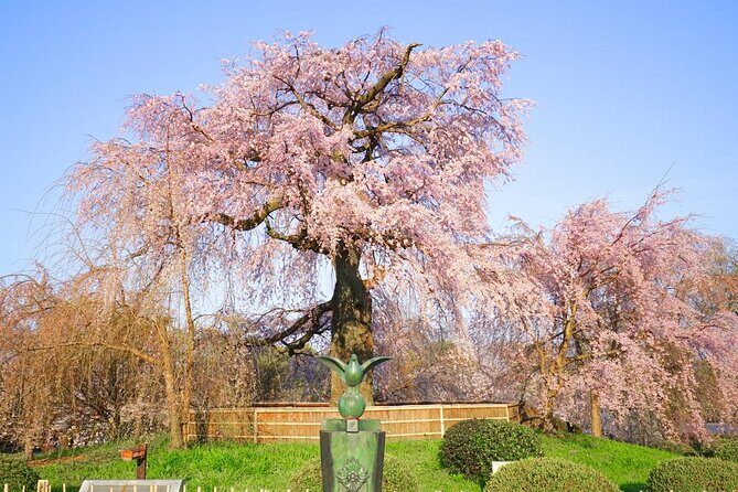 Kyoto Unveiled: A Tale of Heritage, Beauty & Spirituality - The Sum Up