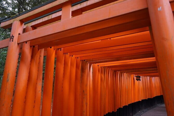 Kyoto Walking Tour at Fushimi Inari Shrine and Tofukuji Temple - Walking Through Kyoto: What to Expect from the Tour