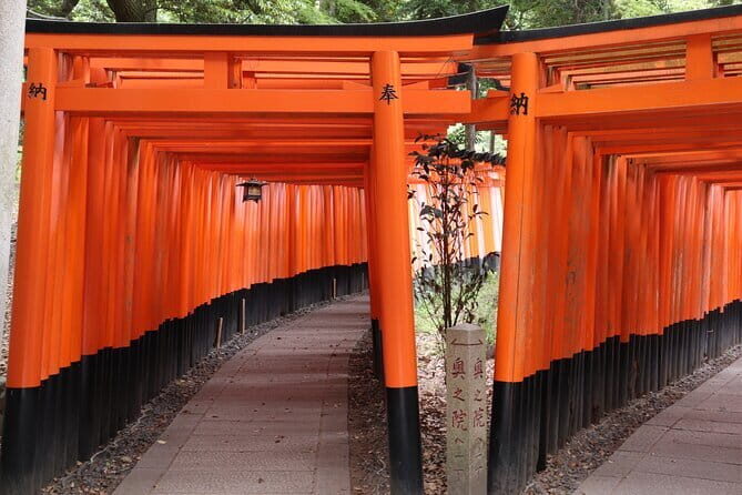 Kyoto Walking Tour at Fushimi Inari Shrine and Tofukuji Temple - Why This Tour Offers Great Value