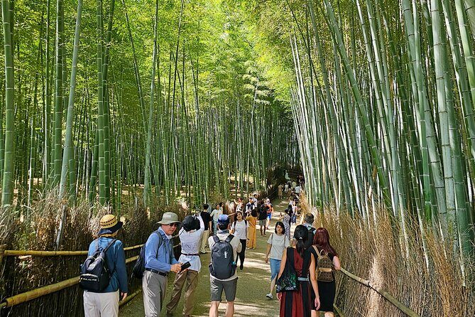 Kyoto's Arashiyama Bamboo Grove: 3-Hour Guided Tour - FAQ