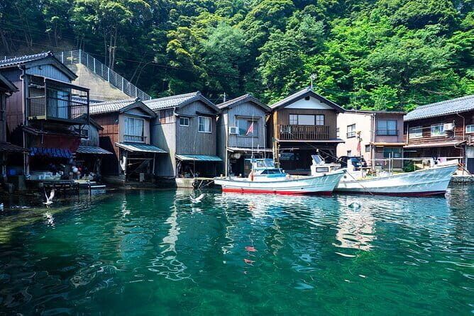 Kyoto's coast Amanohashidate and Ine Boathouse Full-Day Tour - Who Is This Tour Best Suited For?