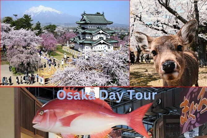 Kyoto's coast Amanohashidate and Ine Boathouse Full-Day Tour - FAQs