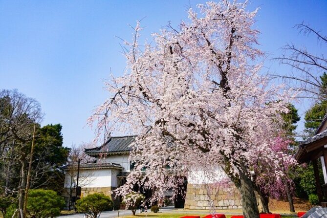 Kyoto's World Heritage Walking Tour from Kyoto st. - Key Points