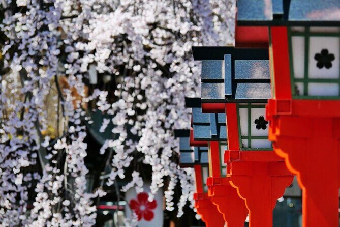 Kyoto's World Heritage Walking Tour from Kyoto st. - Lunch Break: Flexibility and Local Flavors