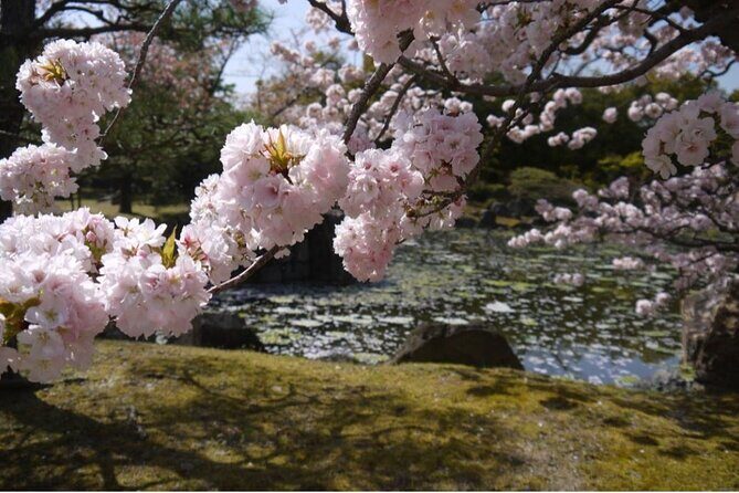 Kyoto's World Heritage Walking Tour from Kyoto st. - Back to Kyoto Station: Wrapping Up the Day