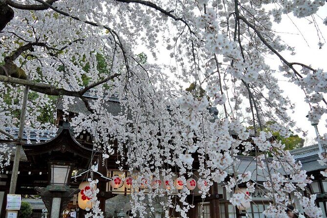 Kyoto's World Heritage Walking Tour from Kyoto st. - What’s Included & What’s Not