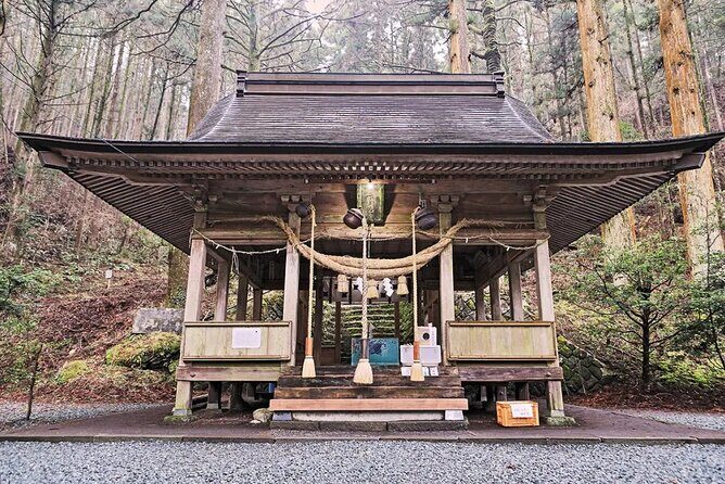 Kyushu Kamishiromi Shrine, Amano Iwato, and Takachiho Gorge Tour - Key Points