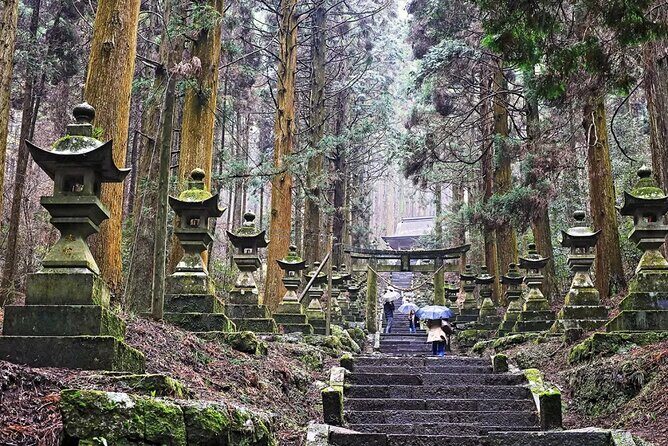 Kyushu Kamishiromi Shrine, Amano Iwato, and Takachiho Gorge Tour - The Sum Up: Is This Tour Worth It?