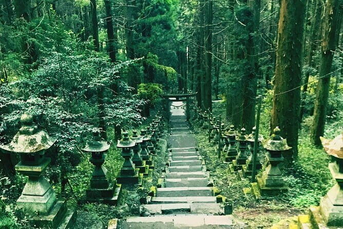 Kyushu Tour of Shrines Sakura Gorges and Landmarks from Fukuoka - Key Points