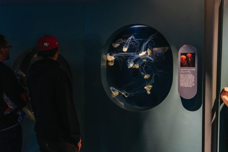 LA: Aquarium of the Pacific Skip-the-Line Entry - Final Thoughts