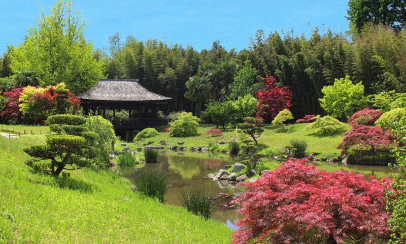 La Bambouseraie en Cévennes Ticket - Key Points