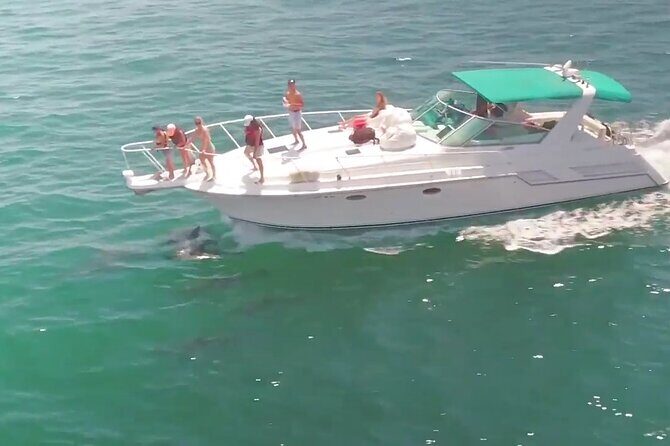 LA: Birthday Special Private Yacht (1 ticket covers 1-6 people) - FAQ