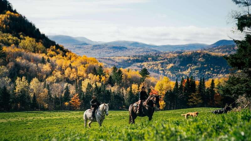 La Bleuetière: A charming introduction to horseback riding - What to Expect at La Bleuetière