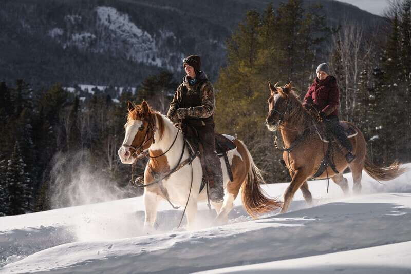 La Bleuetière: A charming introduction to horseback riding - Reviews and Authentic Perspectives