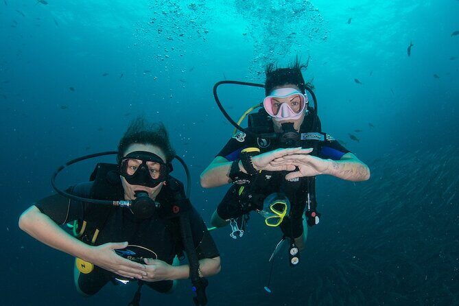 La Bombona Diving Koh Tao Open Water Course - Why You’ll Love the La Bombona Diving Open Water Course